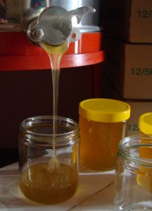 API maturateur miel printemps 2016 (1)