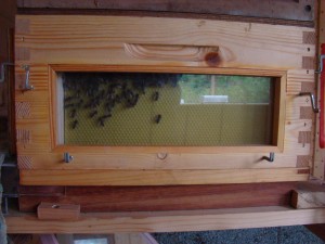 API abeilles élevage (39)