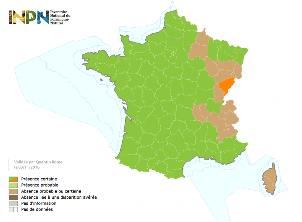 vespa_velutina_carte_doubs_2016-11-03_inpn